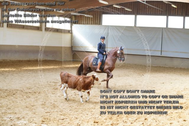 s_K3F02155.JPG